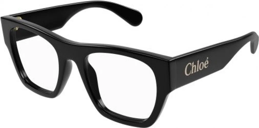 Chloe CH0250O Eyeglasses - view 8